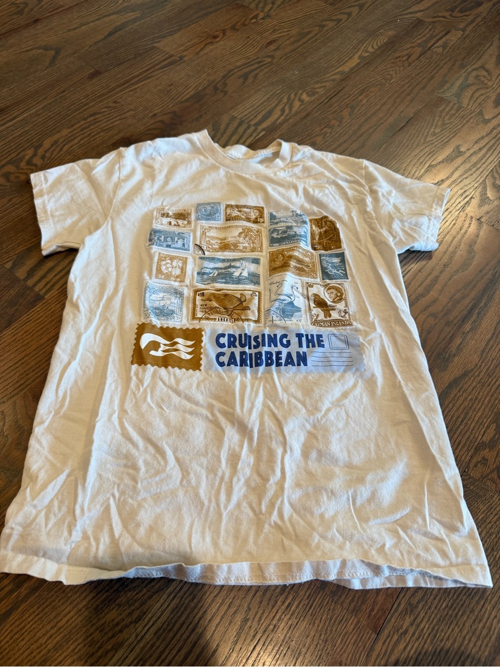 Princess Cruise Shirt